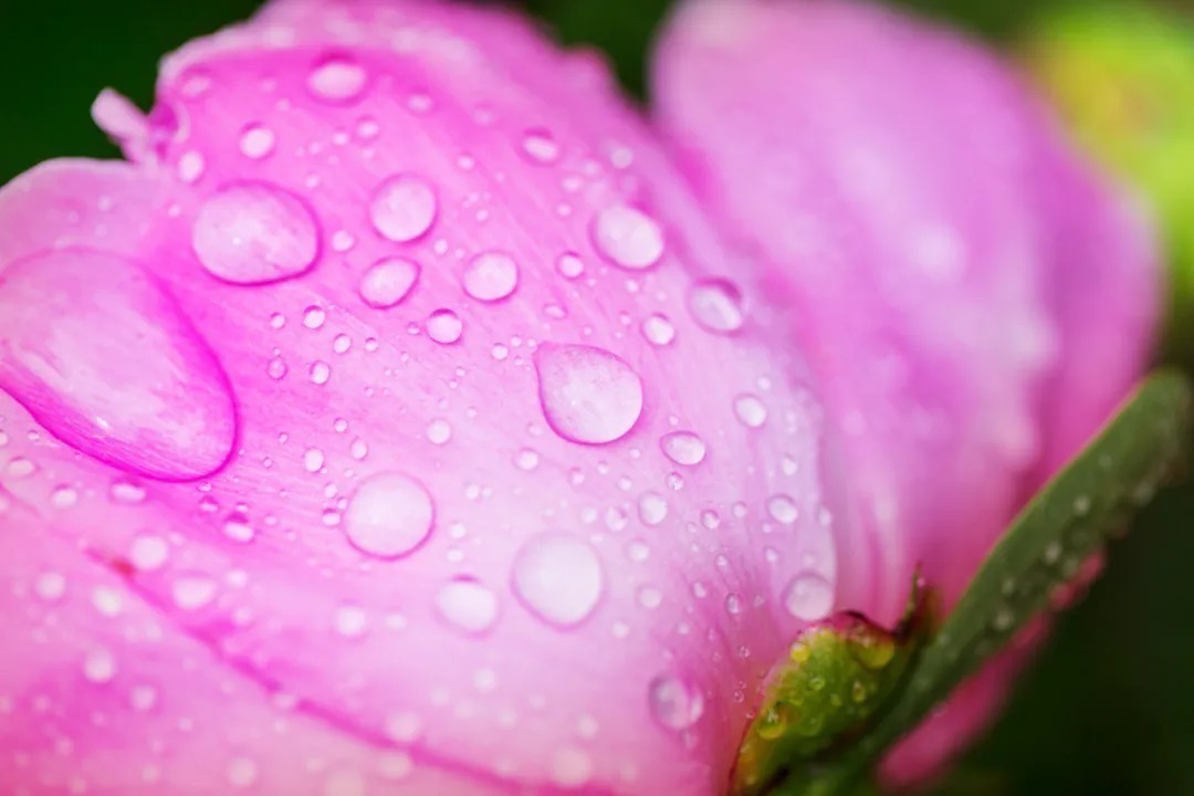 怀念|十位诗人写给妻子的诗,有怀念,有情话,有惋惜