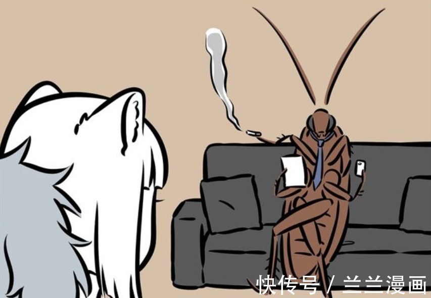 烈烈|非人哉:超大蟑螂入侵公司,吓哭哮天和烈烈,只有九月很淡定