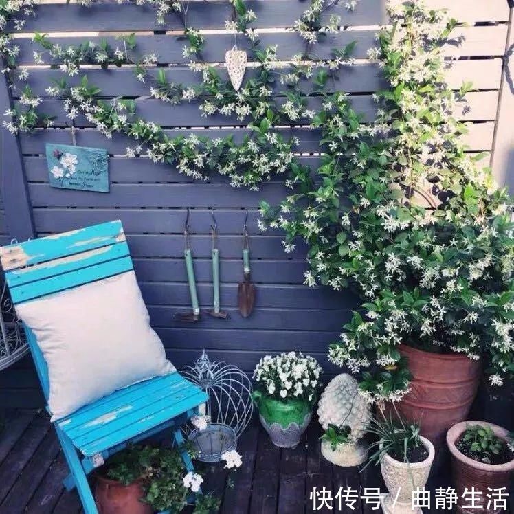 等我老了以后,找个小院陪你养花种菜!