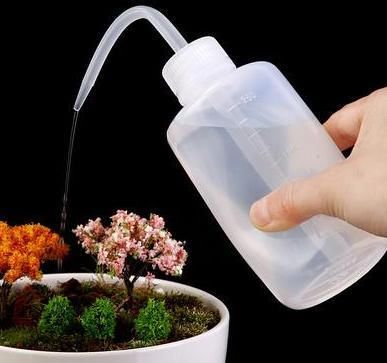 室内养花，浇水遵照“4不”规则，这个冬天并不难熬