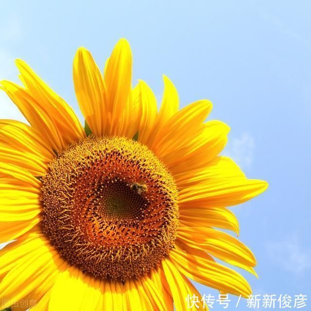 夏至已过,什么时候入伏呢今年伏天热不热,看看老祖宗怎么说