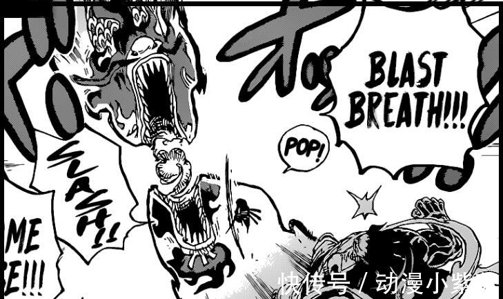 橡胶|看了海贼王1002话,才明白尾田给路飞橡胶果实的用意