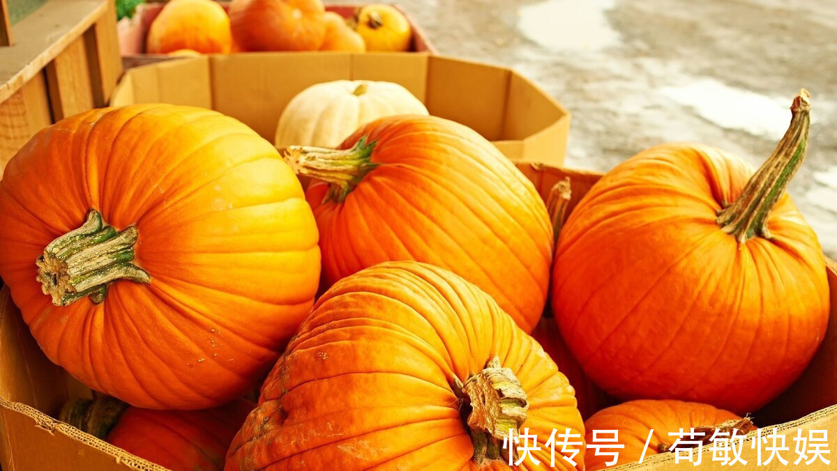 香甜|挑选南瓜时,选老不选嫩,牢记3个技巧,各个香甜软糯又好吃!
