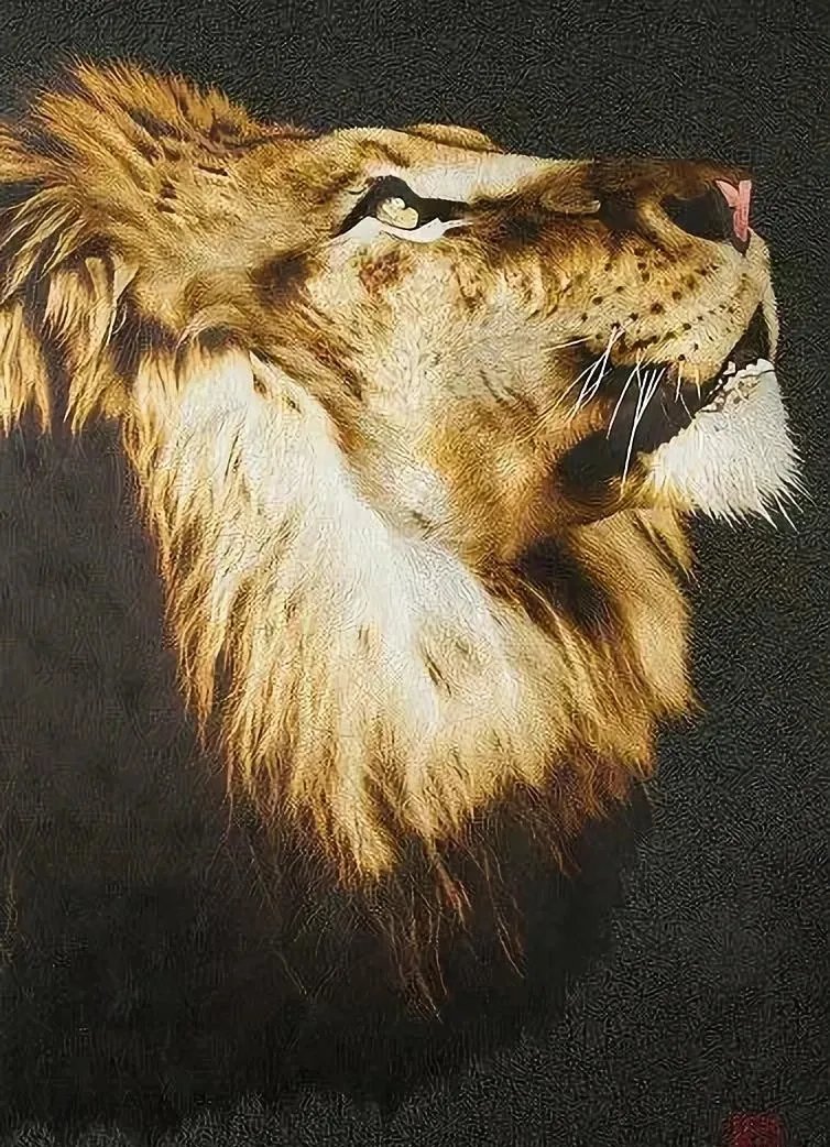 中国传统文化 她用一根针画出近万种颜色的星空，却拒绝美国航天局购买