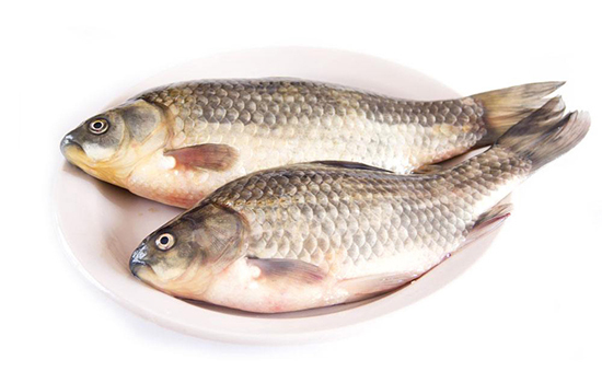 牡蛎粉|奉劝大家炖的吃此鱼,连吃10天血糖恢复正常,效果显著