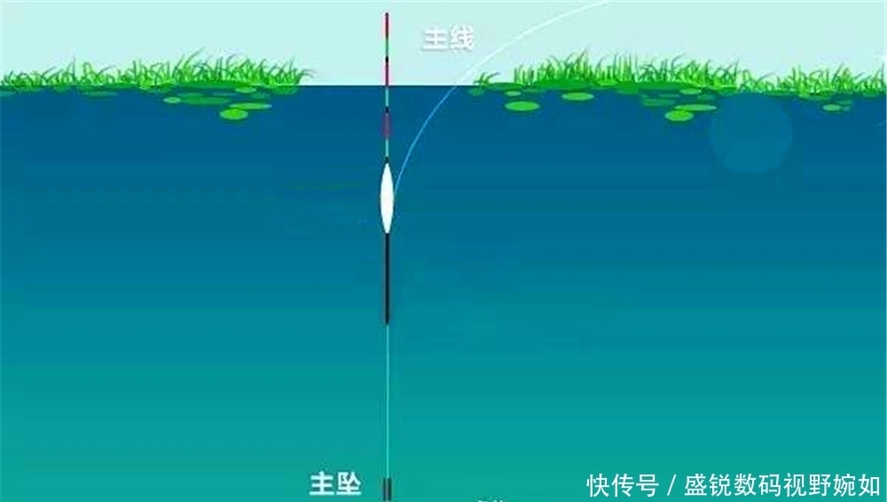 铅坠|夏季到小鱼闹,初夏野钓大鲫鱼,试试这些钓法,很适合小中取大!