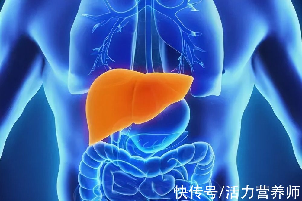 脱羧酶|哪怕每天喝一口酒，都会增加十多种癌症的发生概率，严重危害健康