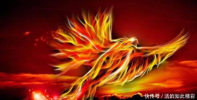 坐骑则|黄帝炎帝的坐骑现在都不在了,只有他的坐骑还活着,以卖萌为生!