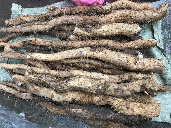 这些土货有点小贵，甜香粉糯，多吃长个不长肉，为了孩子值得买