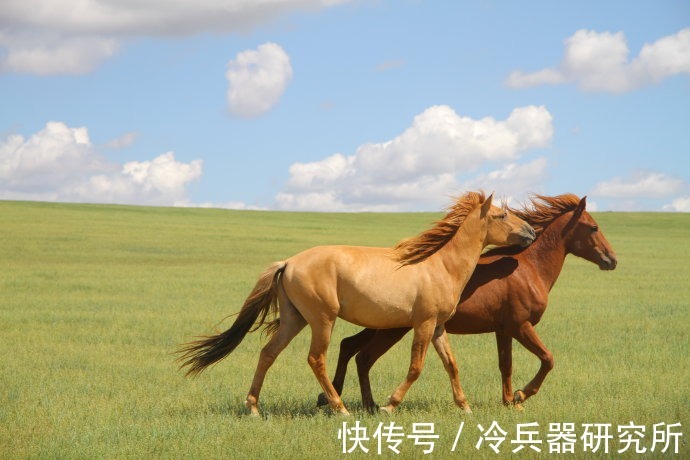 骑兵|同样农耕,为何中原一直缺马,欧洲却以骑士闻名?