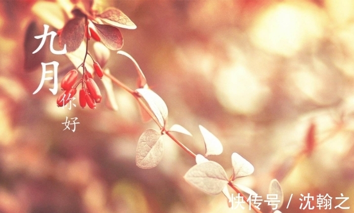 饮酒|秋高气爽的九月,一起到古诗词里登高望远,饮酒赏菊