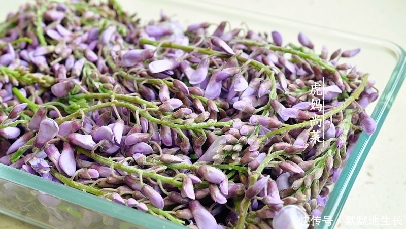 你认错了,它不是槐花不是梧桐花,4月最嫩,煎成饼,能吃一盘子