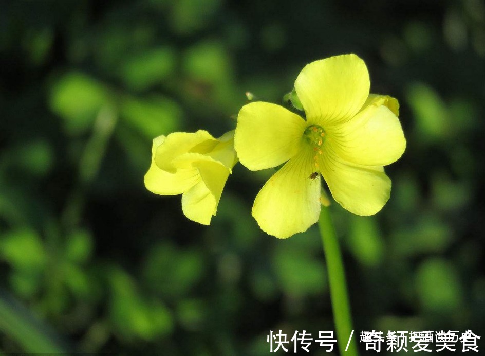 秘密#做人,守好了这四个“遮羞布”,自然能多福少祸