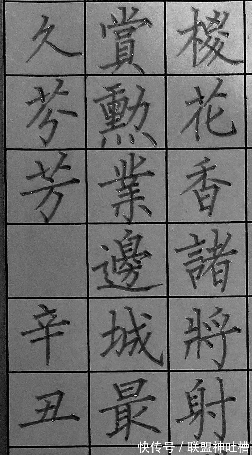 书友$好功力!用柳体,写硬笔书法!