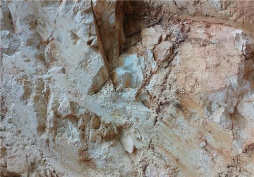 古代饥荒时,为何那些流民宁愿啃树皮也不愿下河捞鱼?答案很简单