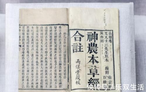 黄精|走近中药：古人为何推崇黄精，它有哪些特点？可分为4种