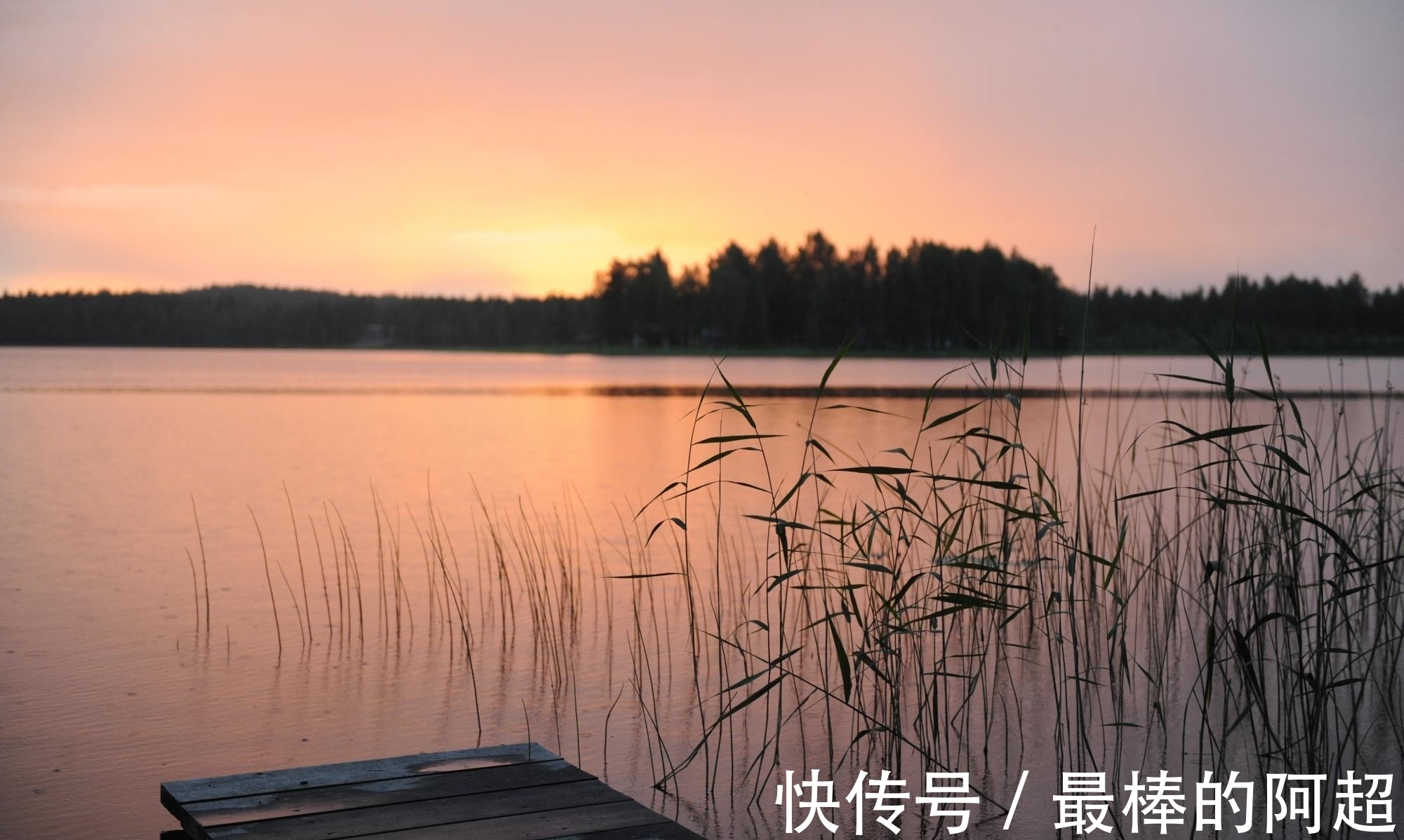 楚宫!李商隐凭吊屈原的一首诗,只短短4句,读来惆怅悲切,感慨万分