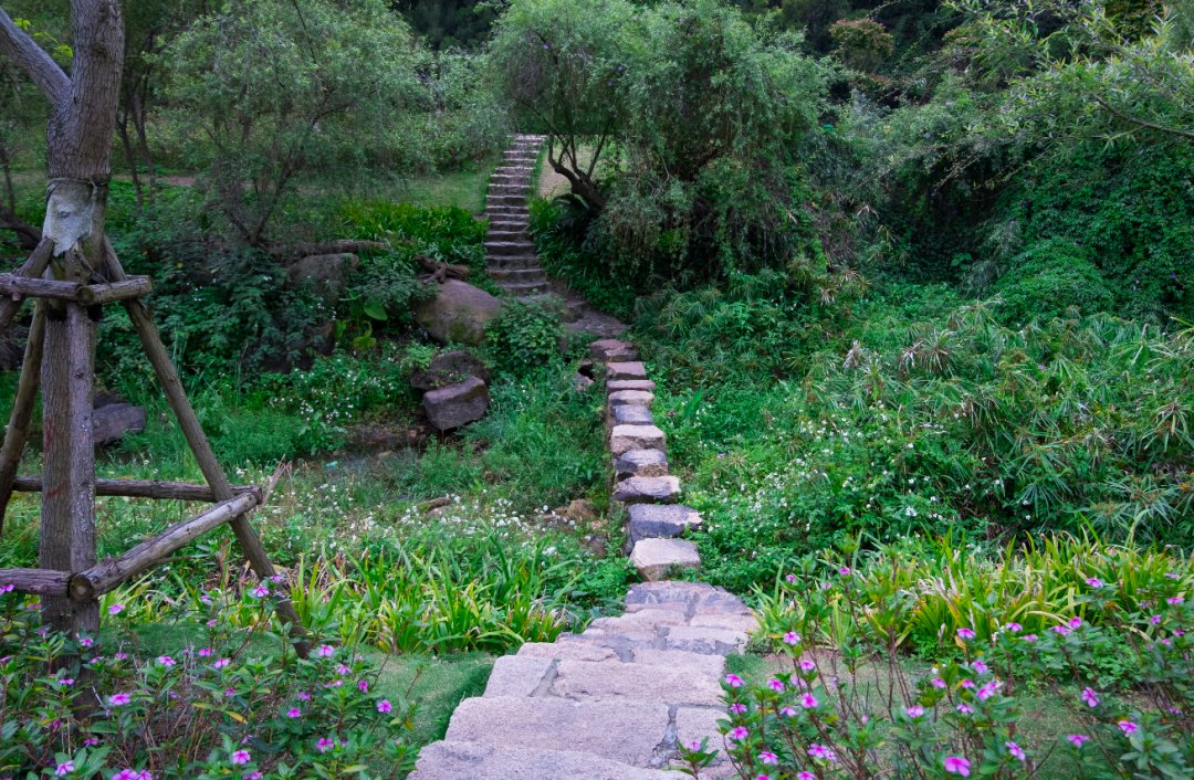 花溪|1日游必去！厦门这条跨山向海的景观大道串起超多小众美景！这么玩才过瘾