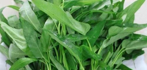 通心菜|女性養生，不妨吃3種食物，補血益氣，延緩衰老，滋補身體