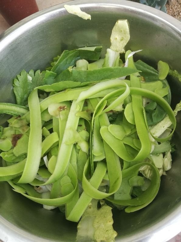 换盆之后的土,掺上一点“小东西”,土壤肥得流油