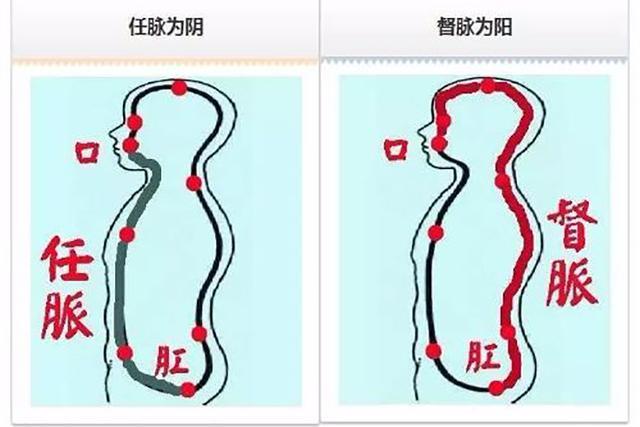 如何把透支的腎補回來常做4件事，補腎、強精，腎臟越來越壯