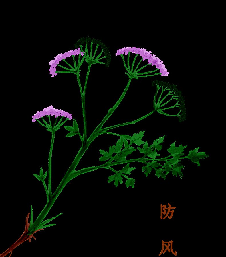 黄芪|中医防疫有妙招，嵊州市中医院推出防疫方和香囊