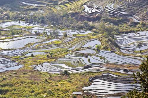 梯田|山势最险峻复杂、气势最恢宏壮观，大地雕塑最高典范，老虎嘴梯田