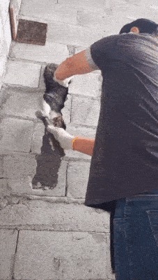 |搞笑 老实交代,你上一个女朋友是怎么甩的?