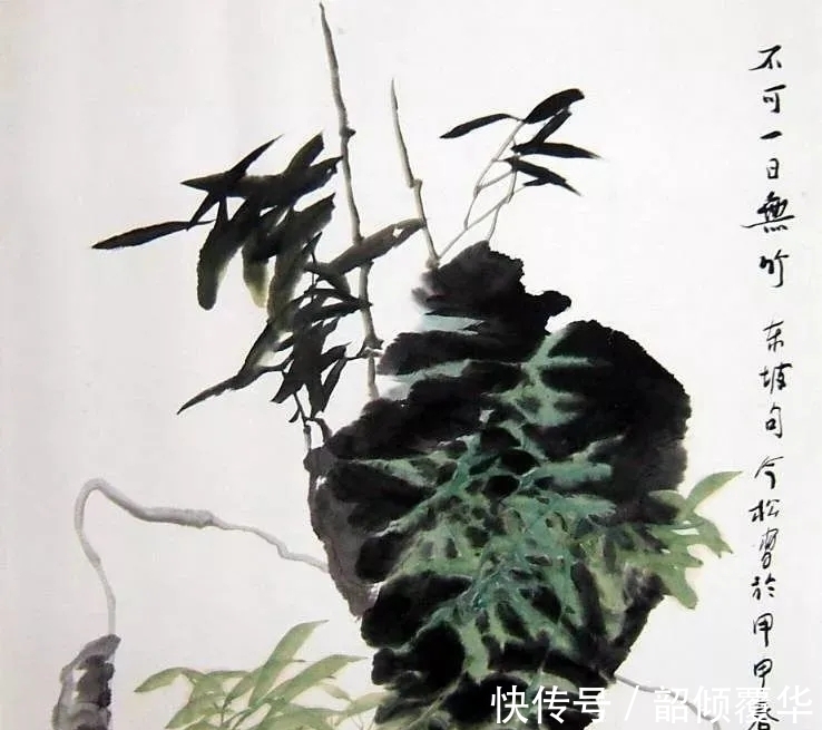 花鸟画|浓墨重彩|冯今松花鸟画