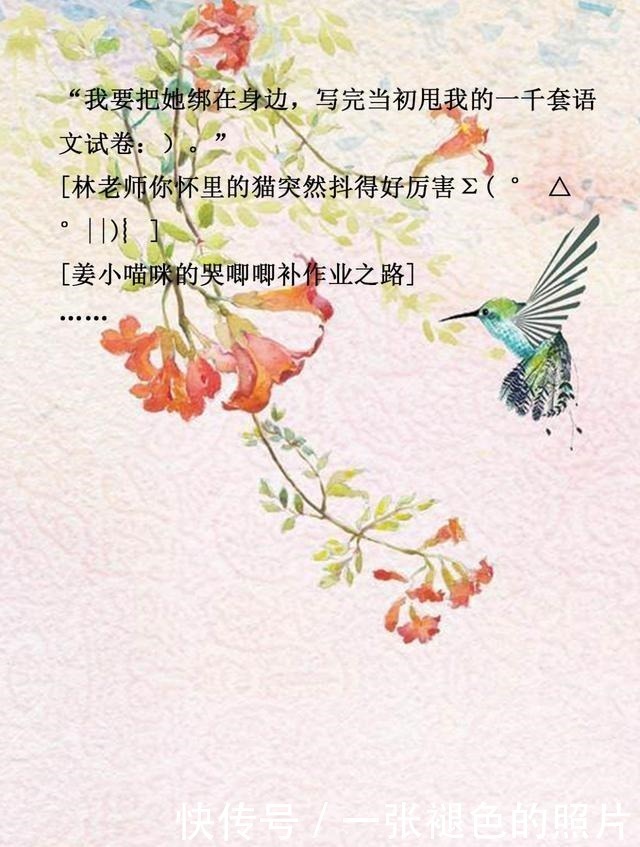 童萌@新文推荐穿书系,大佬,我攻略错人了;七十年代嫁给残疾大佬