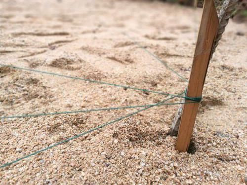 改造|他花3年打造中式庭院,不花钱,全靠捡,完工后让人惊艳