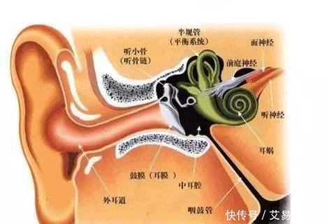  研究数学|让我们引以为傲的“勾股定理”，算不算数学定理？