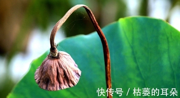 徐霞客|老祖宗:一个家庭的败落,往往从这些事开始,需谨慎