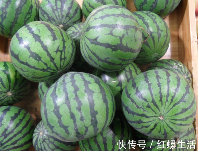 西瓜|西瓜甜不甜，内行人都看这里，一挑一个准，瓜农的方法简单又实用
