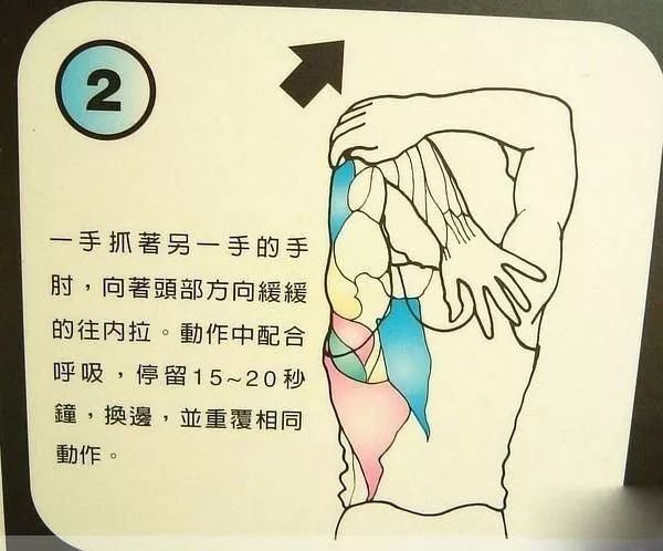 普拉提|养生法:神奇的健骨拉筋术,“筋长一寸,寿长十年”!