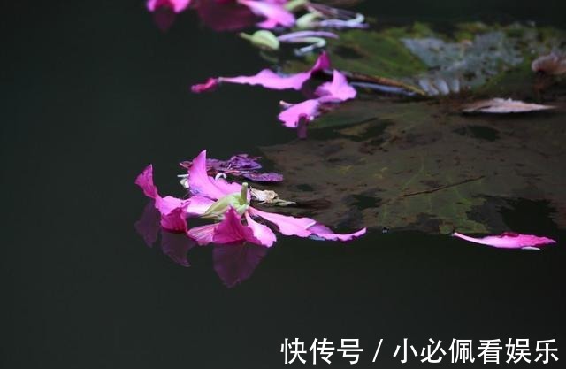 大家闺秀|名妓李苹香:原是大家闺秀,被渣男卖入风尘,才色双绝李叔同倾心