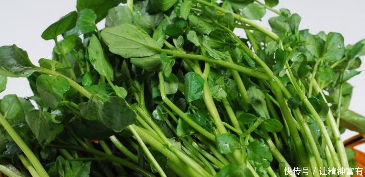 西洋菜5种最好吃的做法,每种都简单美味,看看你喜欢吃哪种?