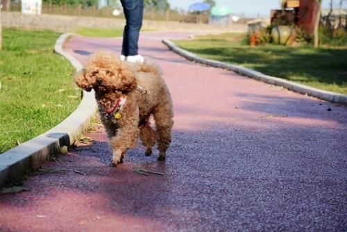 老年|自然丨仰天窝阳光健身步道升级！山顶湖泊等你来打卡~