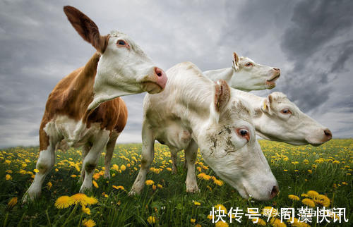 35个冷知识教科书上不会出现，但却真实存在于世界各地