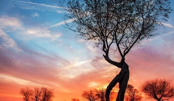 自然规律|人临死前的几个“异常”!原来死亡真的有“预兆”,大家需了解下