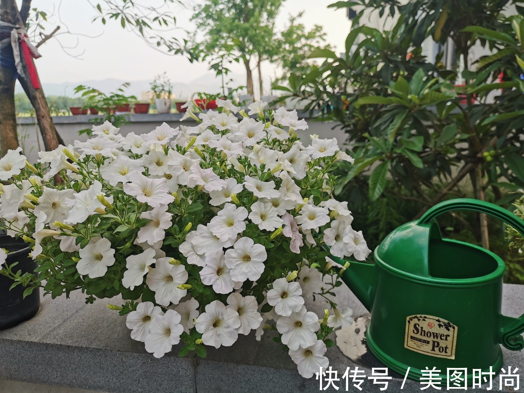 小院|80㎡最美乡村别墅小院，全由自己亲手布置设计，超有成就感