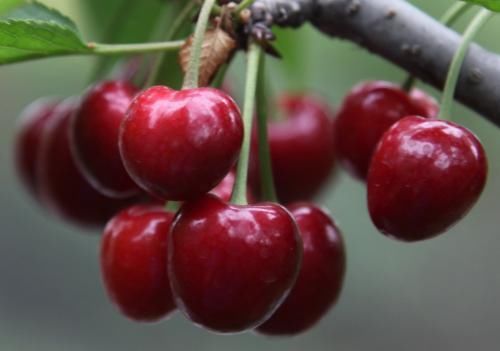 尿酸|尿酸也有“不喜欢”的食物，常吃6种食物，尿酸或能得到改善