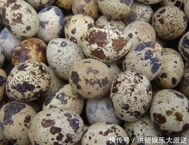 不孕不育|天然“黄体酮”，女人不妨常吃，平衡内分泌，“乳腺癌”不敢来