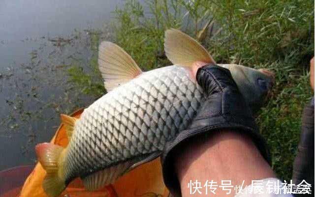 再三提醒这3个钓点老钓友从来不去，逢钓必空军，莫忽视哦