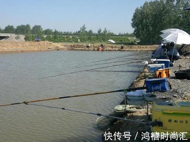 钓鱼人老实好欺负？53位钓友联合报警，黑坑老板将获刑3至10年