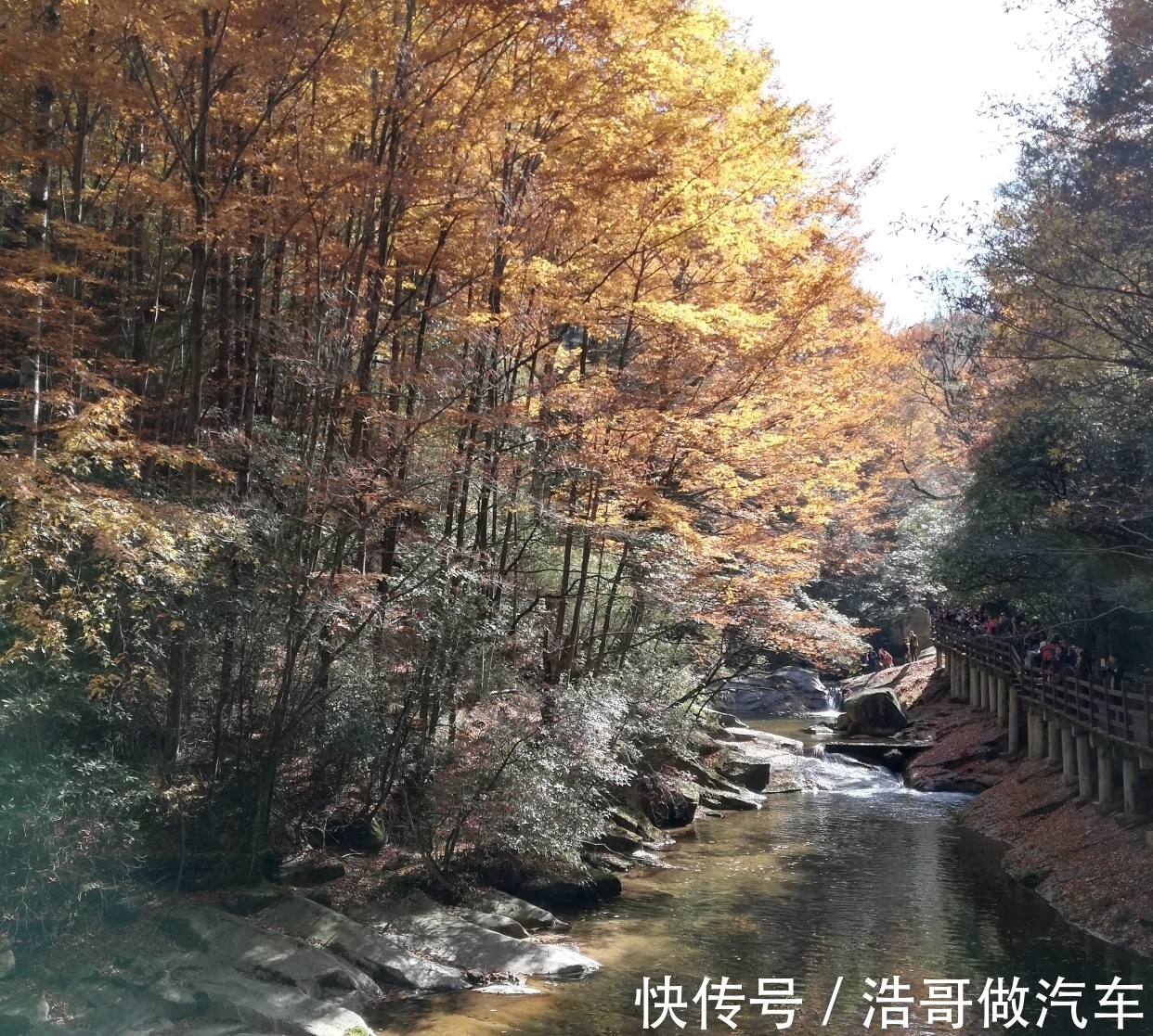 岳麓山|秋天，我们一起去欣赏红叶吧