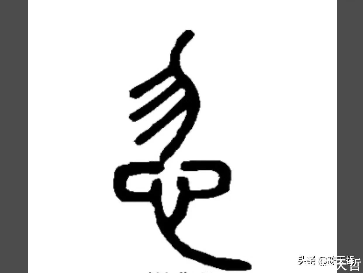 祝允明|怀素之心与张旭、王羲之、祝允明等人相比,是跳动的有旋律的心