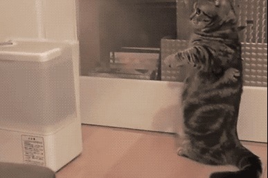 .com|孩子流鼻血,妈妈使出“看家手法”,不但没止住血,还感染了……