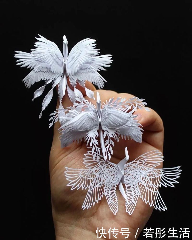 翅膀$抑郁小哥把一只2毛钱的千纸鹤折成了我买不起的样子,不但病好了还年入百万
