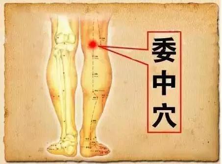 委中穴|3种水果是“湿气果”,越吃湿气越重!中医教你如何有效去湿